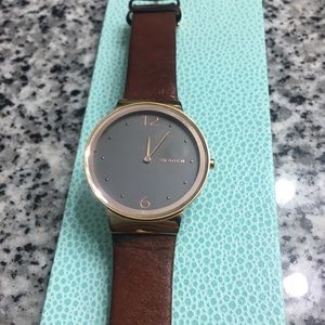 Skagen Watch